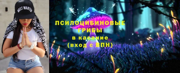 ешки Верхний Тагил