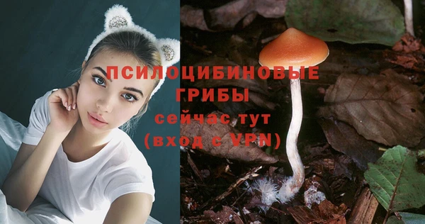 альфа пвп Бугульма